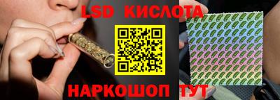 гашик Дубна