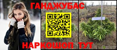 гашик Дубна