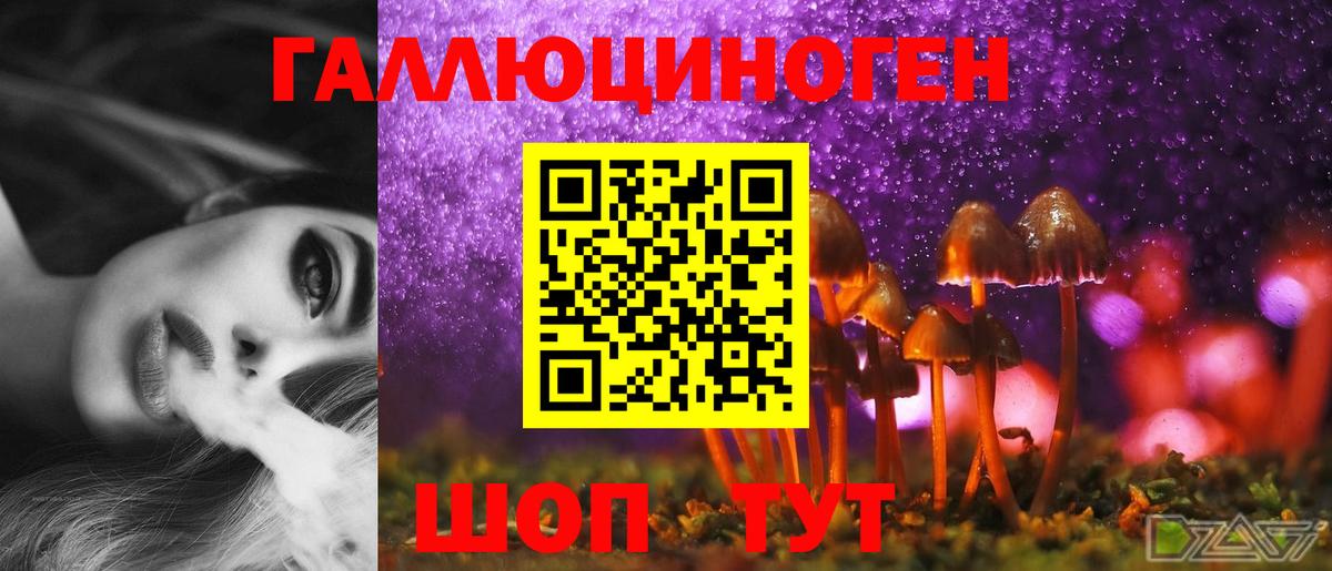Псилоцибиновые грибы Psilocybine cubensis  Вход с VPN  Медногорск 